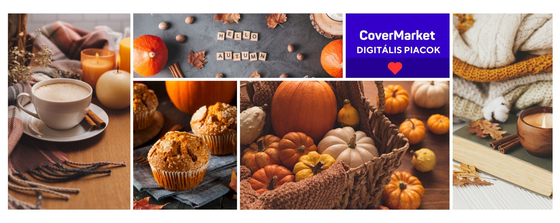 CoverMarket Ősz - 2024