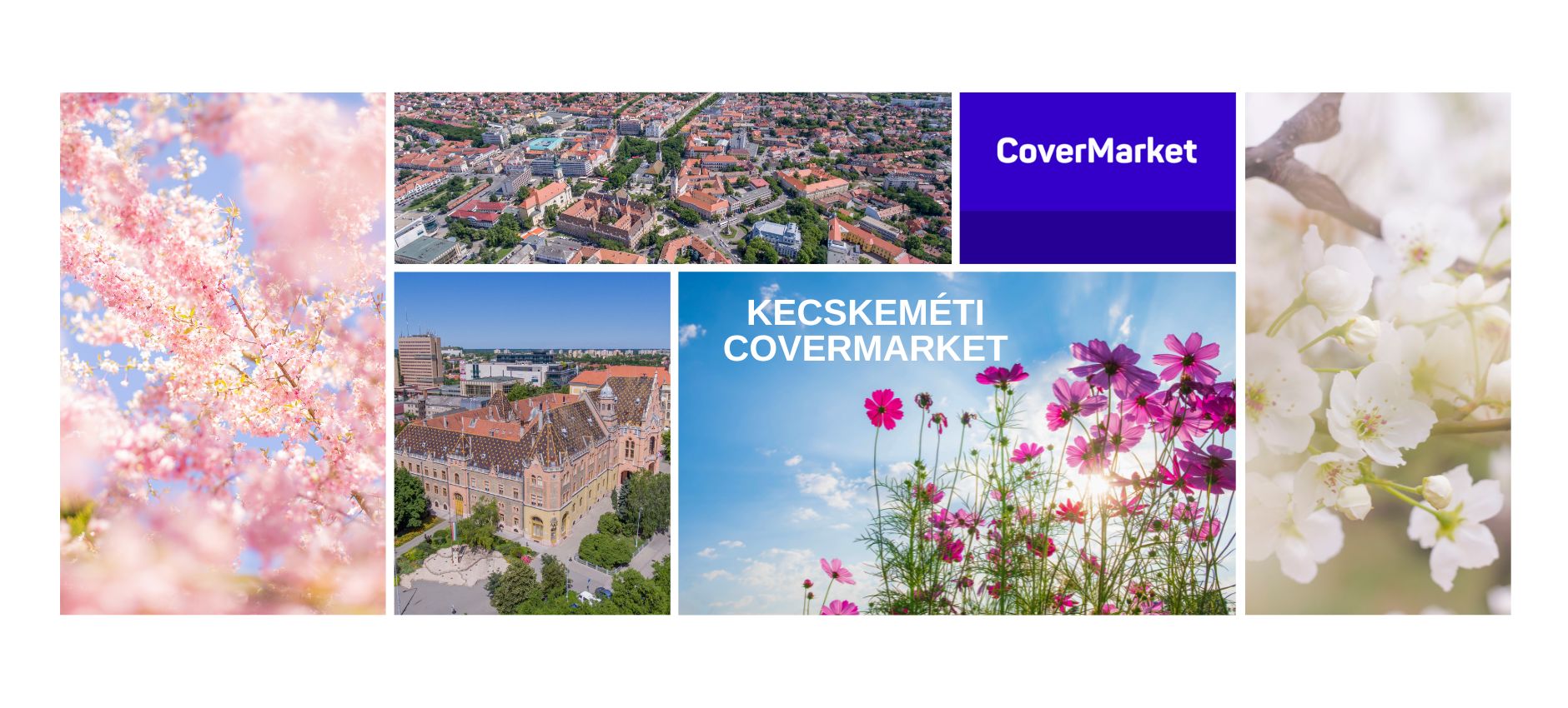 Kecskeméti CoverMarket - 2025-03-29