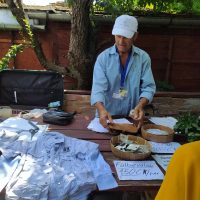 355799034_238646855658523_5146271327461494488_n