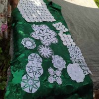 356970923_283636227501835_8977210341189352333_n