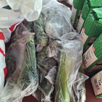 358800569_1987996328205497_7232875917827362144_n