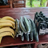 367440521_625608443047282_1781767469201371820_n