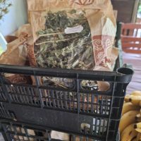 367501172_275706925197790_690788669308134577_n