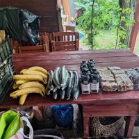 368000750_286862657387458_6331578237705073389_n