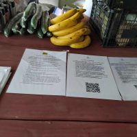 369209692_6832089806887148_6184723285091595547_n