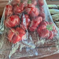 372094939_985540535896645_5201856763206678488_n