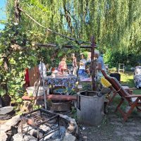 372410723_336888762019317_8883225357220303366_n