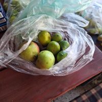 372418656_177097255341432_6822145146878284242_n