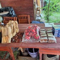 372524329_1366953970839960_7607166995023967784_n