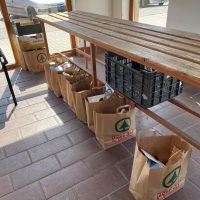 375027167_1027108811795522_6645658756012016398_n