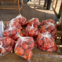 375195676_718616346760622_2032214554764423021_n