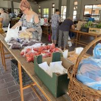 375521779_1775798652859516_2722199135668262648_n