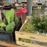 376391801_1082854399755690_3187228139352892342_n