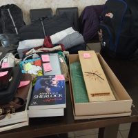 WhatsApp Image 2024-11-18 at 08.31.56