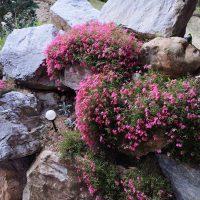 received_408707328660296