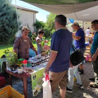 received_448308327255131