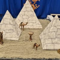 signal-2025-02-22-180524_005