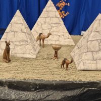 signal-2025-02-22-180524_006