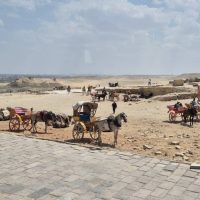 signal-2025-04-14-111312_005