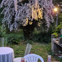 signal-2025-05-24-183400_004