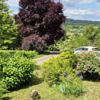 signal-2025-05-24-183400_023